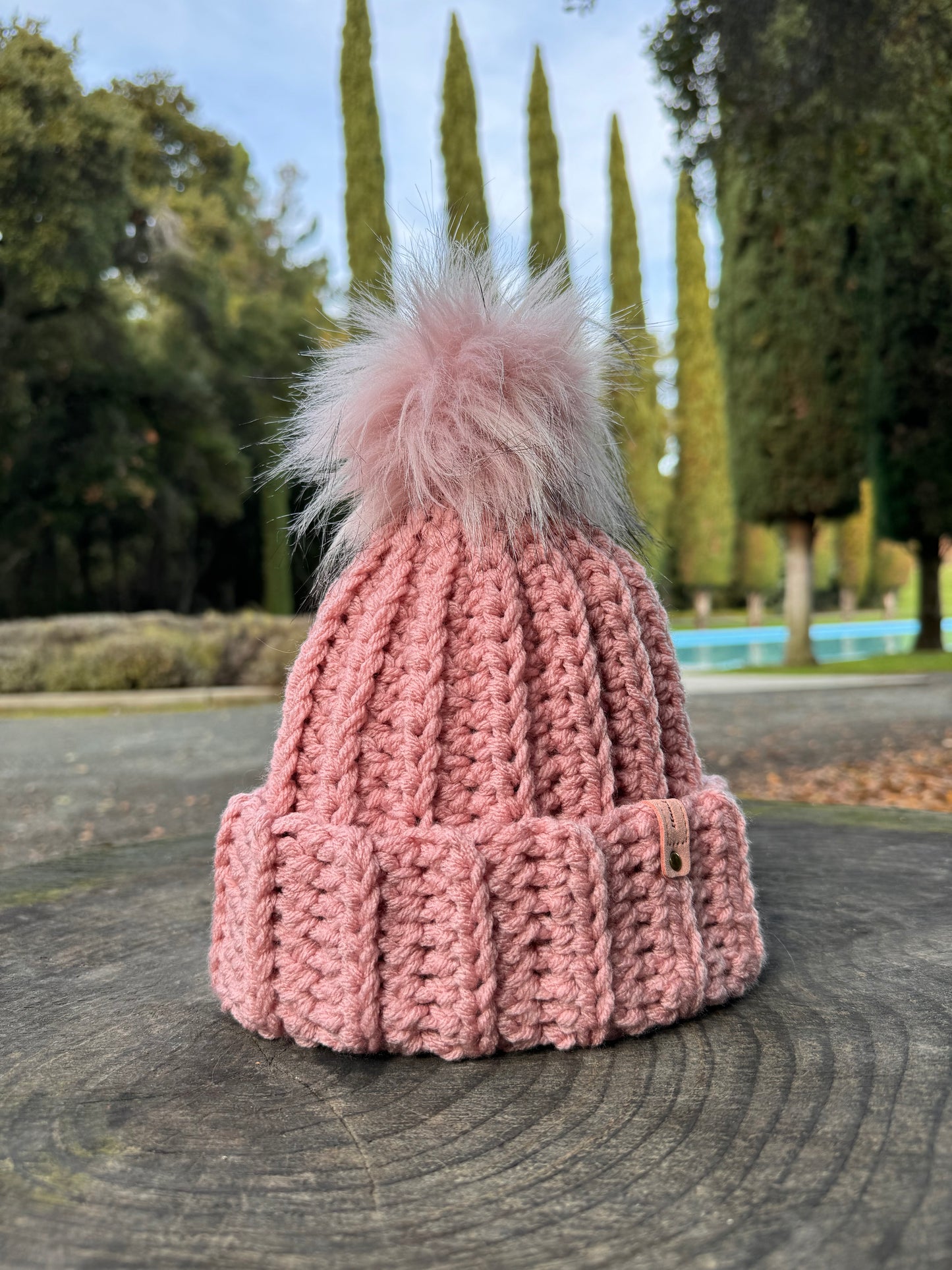 Sally's Beanie -$40